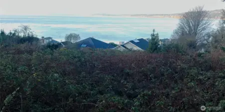 Looking North over the property 03