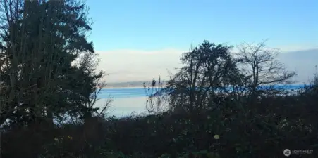 Looking East over the property 01