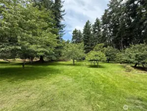Expansive orchard with numerous varieties of fruit trees and lush lawn