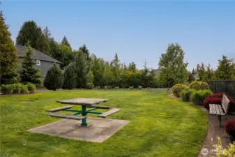 Neighborhood open space.