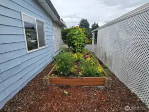 A raised garden bed for flowers or veggies.