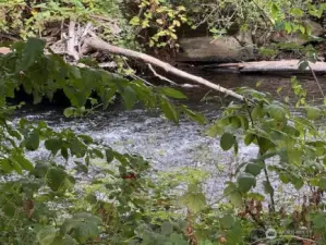 River right across from the trailer