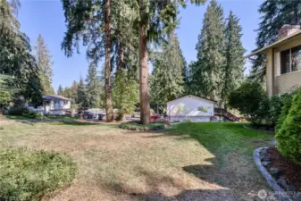 Large front yard with mature landscape.