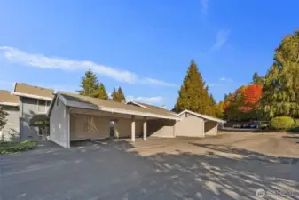 Covered parking steps from your door. With extra storage unit.