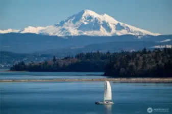 This is just what you will see (zoomed in) while you are here! Although, there are televisions in the home...there is no better view than the everchanging salt water!