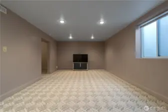 Downstairs Spacious Bonus Room
