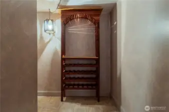 Extra Storage or Wine Room