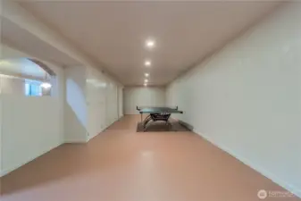 Downstairs Recreation Room