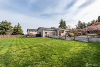 Fully Fenced Backyard