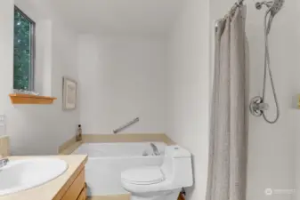 Luxury abounds, a soaking tub and separate shower in primary suite