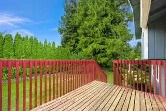 Back Deck - will be painted once rain subsides.