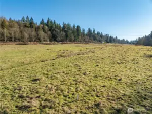 Looking Southeast across the open field, this photo features a visible survey stake in the foreground marking one of the many reference points on the Property that establish its North line.