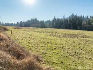 Looking Southwest across the open field, this photo features a visible survey stake in the foreground marking a reference point on the property. A few of the tall evergreen trees are on the Property's creekfront on the West side.