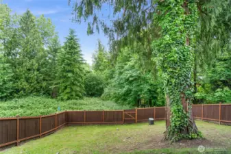 backyard from the ground facing away from the home
