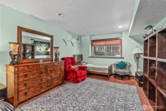 Basement Bedroom.