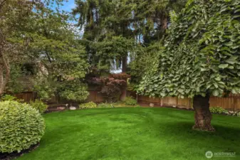 Established landscaping with plenty of room for a garden party.