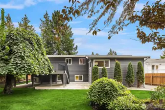 Large lush back yard with patio and steps to deck.
