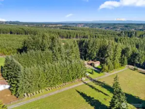 Aerial perspective of both tree-lined lots, delivering space, versatility, and strong value with the added potential for future expansion — buyer to verify all possibilities.