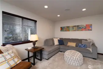 Cozy lower level living area