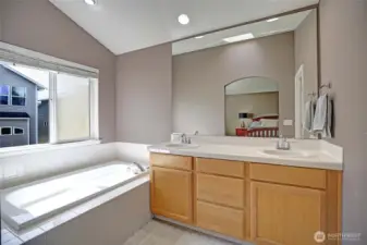 Primary bathroom.