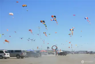 --fly a kite.