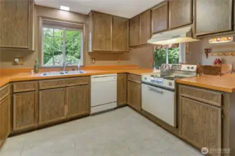 Kitchen Layout is perfect Triangle of sink, stove snd fridge to the left
