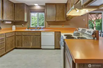 Window above sink to fenced backyard