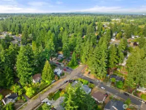 Lovely Fircrest neighborhood. Small town feel but close to everything!