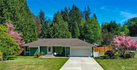 Front of house with cherry blossoms