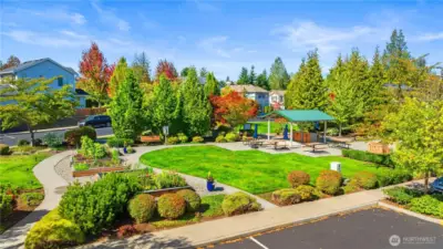 Park