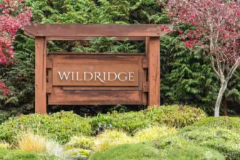 Welcome home to Wild Ridge. A rare gem where luxury meets livability.