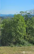 Peekaboo SW views over Centralia