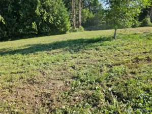 5.2 acre site is fairly secluded yet just minutes to downtown Centralia Shopping and dining