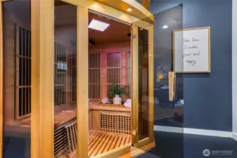 Infrared sauna conveys with home