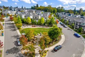 One of the common areas with grass lawn and playground. lots of street parking