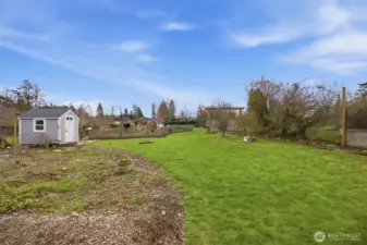 This is the huge back yard that faces to the south. There is not only a vegetable garden inside the picket fence, but also two outbuilding (one garden storage and the other has water and power so it can be a studio), as well as a swing set, hatchet throwing area, and fig/cherry/peach trees and grapes, too!