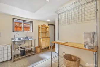 Lower Level Kitchenette