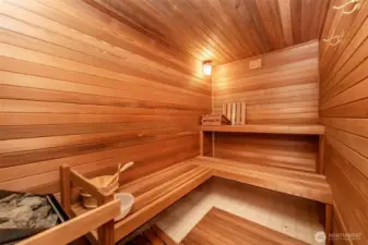 Large Sauna