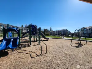 Buffalo Park Playground