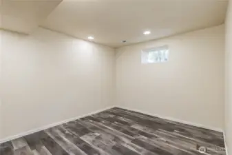 Lower level bedroom