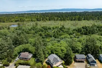 All of this, ocean view from most windows, forest view and close to beautiful Willapa Bay. A place for oyster and clam treats.