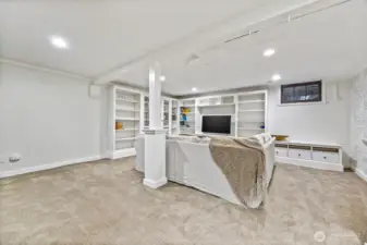 Lower floor entertainment and media room with plenty of space and storage.