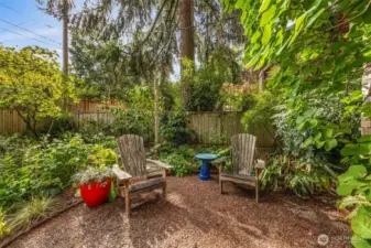 A dream backyard haven for birds and pollinators.