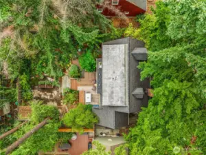 A stunning settings tucked within all the PNW trees and greenery.