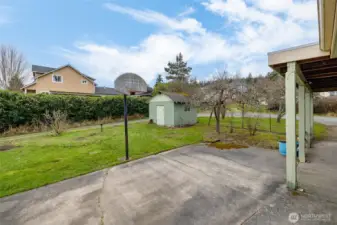 Another look at the backyard.