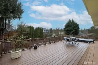 Expansive second level deck in back with tons of room for entertainment, furnishings, and more!