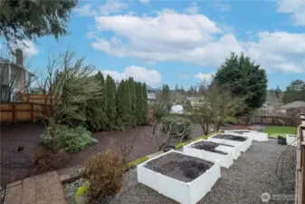 Thigh high garden beds on second level of tiered, landscaped backyard. No more bending down for those zucchini and cucumbers!