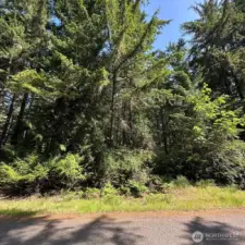 Fully treed and level lot in The Riviera.