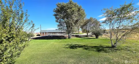 Isn't that expansive lush green lawn beautiful?