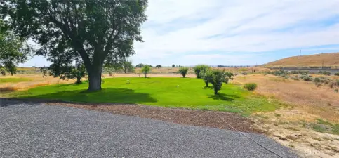 Forever views and open space.